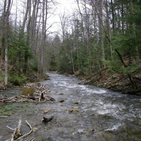 The best rivers in Ontario