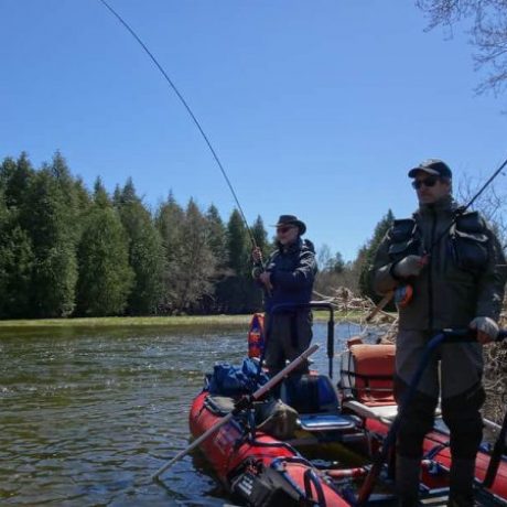 Ontario's Best River Guide Service - A Perfect Drift