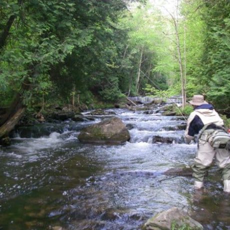 Ontario's Best River Guide Service - A Perfect Drift